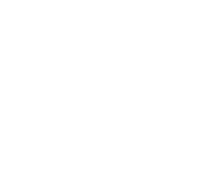 Logo Hôtel restaurant La Promenade Villeneuve Tolosane blanc